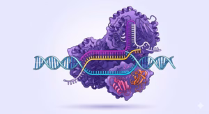 Crystal NAX - Nucleic Acid eXcellence homepage 14 NAX - Crystal Nucleic Acid eXcellence NAX,Crystal NAX CRISPR/Cas9 Editing dsDNA