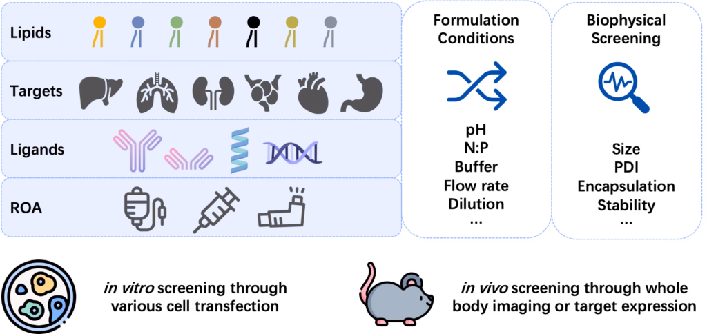 High-throughput LNP formulation screening description image