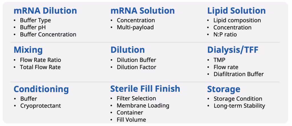LNP Process Development Study service details options