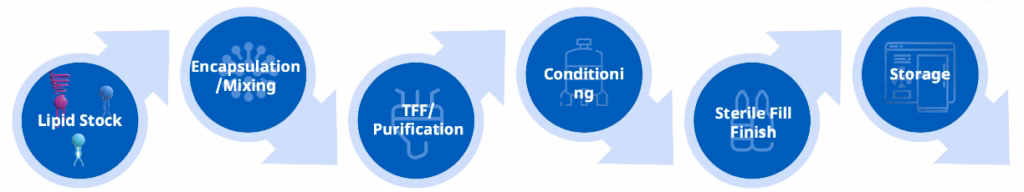 LNP Process Development Study service stages and options, from lipid stock, encapsulation/mixing, TFF purification, Conditioning, Sterile Fill Finish and storage