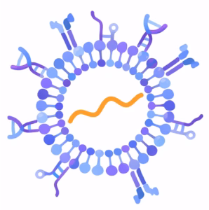 LNP conjugation technology icon