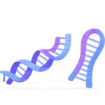 dsrna products image