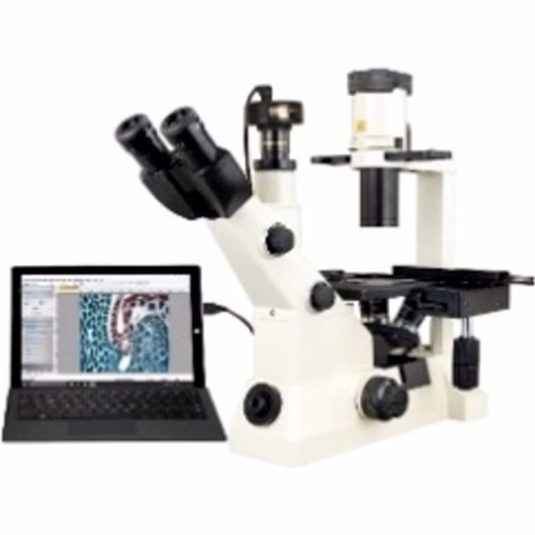 Optical microscope for morphological inspection and qualitative analysis of biological samples